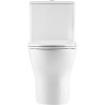 Унитаз-моноблок BELBAGNO LOUNGE с сиденьем дюропласт soft close, P-trap BB8618CPR-MN/SC