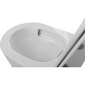 Унитаз подвесной безободковый BELBAGNO FLAY-TOR BB053CH-TOR-FC/BB870SC